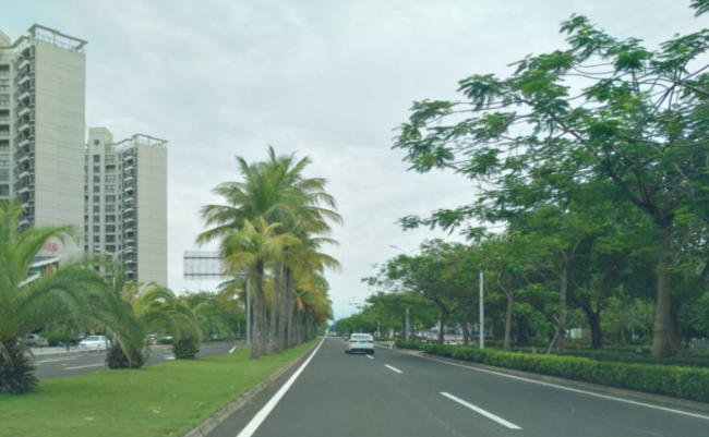 三亚租车比海口贵 海口路况景观